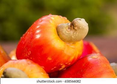 cashew